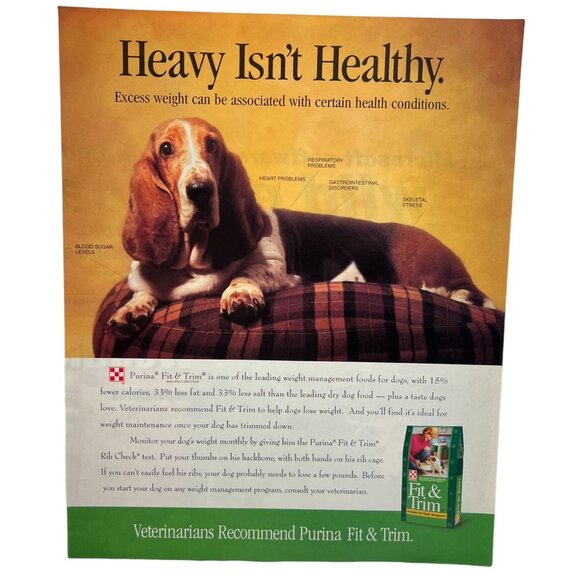 Purina Dog Food Print Ad Vintage 90s Fit and Trim Bassett Hound Weight Control - Picture 1 of 5